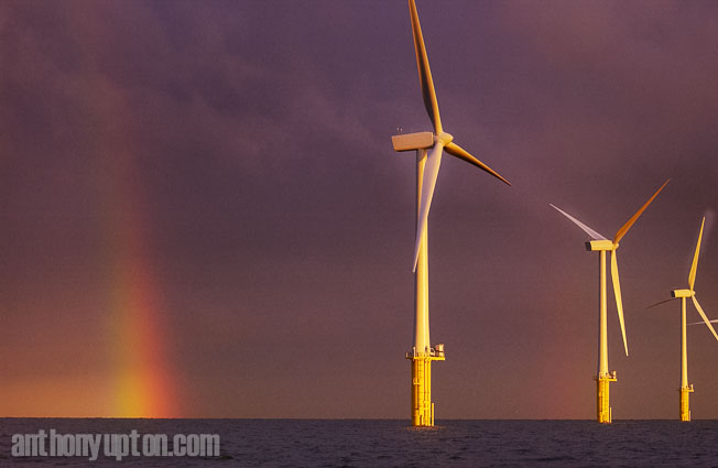 All Images Copyright Anthony Upton © info@anthonyupton.com +44 79973 830 517